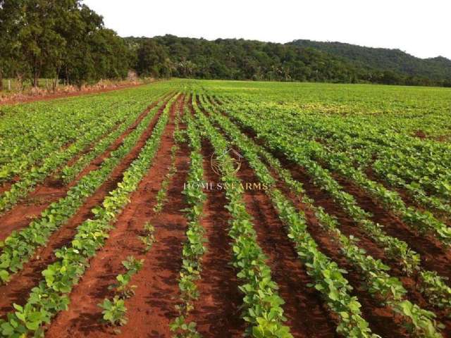 Excelente fazenda em nobres mt