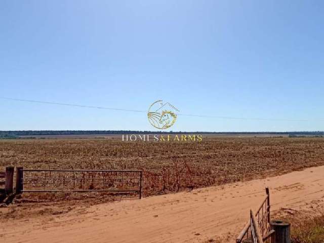 Fazenda à Venda na Região de Itaúba MT