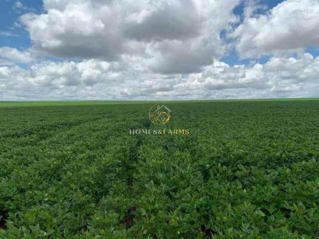 Fazenda a venda em mato grosso  (dupla aptidão)