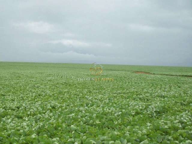 Belíssima fazenda em santana araguaia - pa