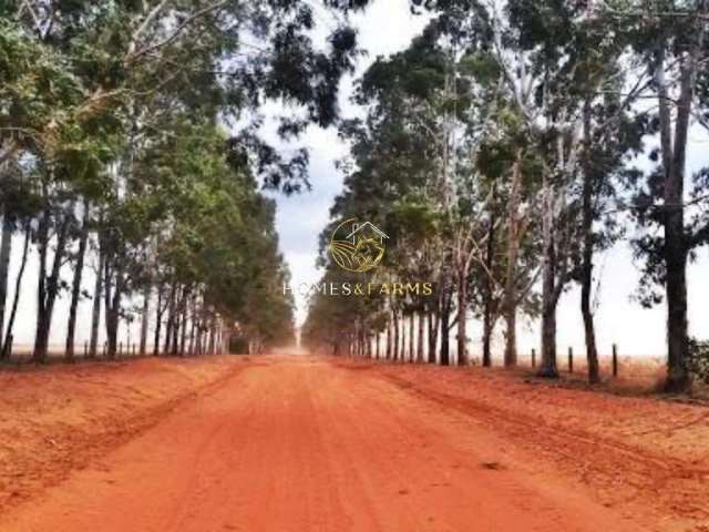 Fazenda  na Região de Santiago do Norte/Paranatinga - MT