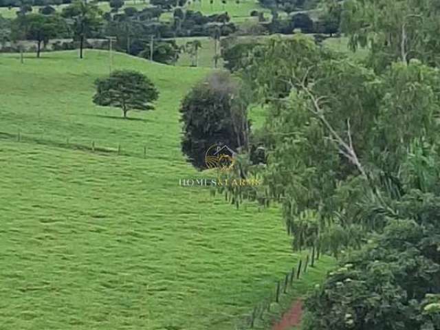 Fazenda 2.105,40 hectares (435 alqueires) a 220 km de Goiânia é próximo a Rio Verde.