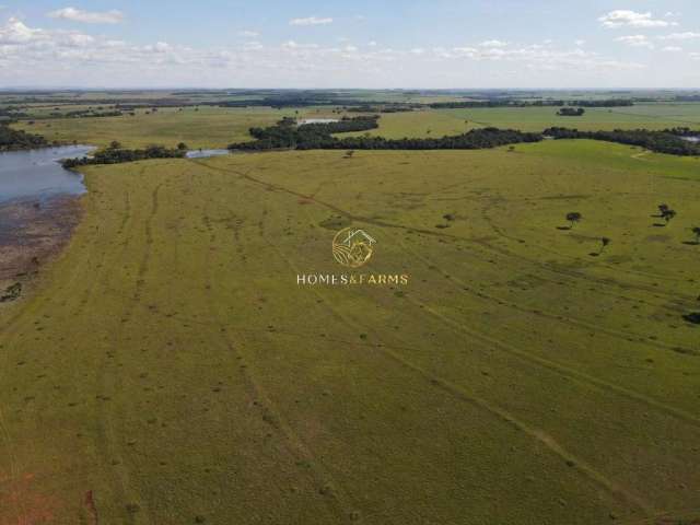 Fazenda no município de Turvelândia GO