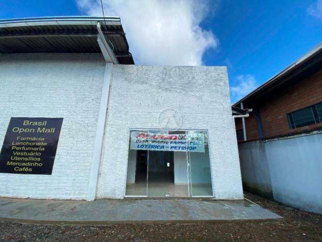 Galpão para alugar, 90 m² por R$ 1.800,00/mês - Passo Manso - Blumenau/SC