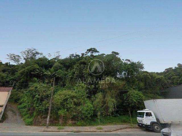 Terreno à venda, 1049 m² por R$ 700.000,00 - Ponta Aguda - Blumenau/SC