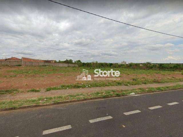 Terreno à venda, 379m² por R$ 303.472 - Park dos Jacarandás - Uberlândia/MG