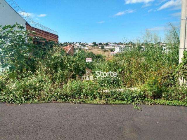 Terreno à venda, 500m² por R$ 425.000 - Vigilato Pereira - Uberlândia/MG