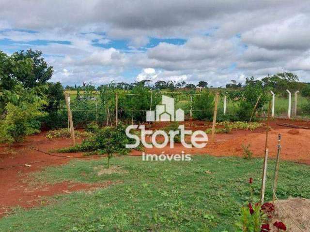 Chácara com 2 dormitórios à venda, 2000 m² por R$ 240.000,00 - Zona Rural - Uberlândia/MG