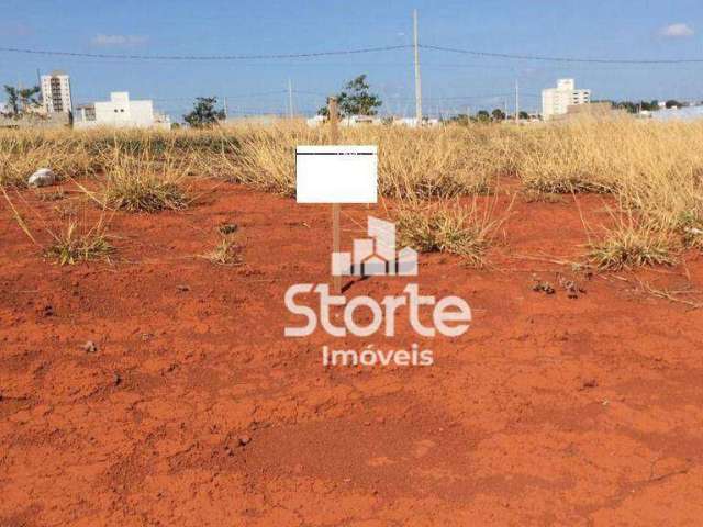 Terreno à venda, 250 m² por R$ 195.000,00 - Portal do Vale - Uberlândia/MG