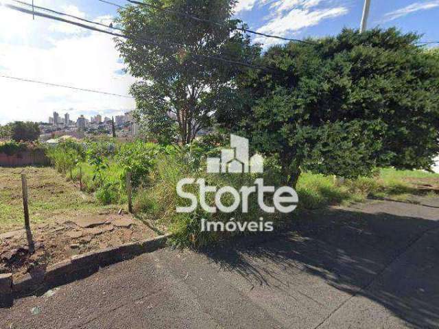 Terreno à venda com 519m² por R$ 430.000 em local nobre no Vigilato Pereira - Uberlândia/MG