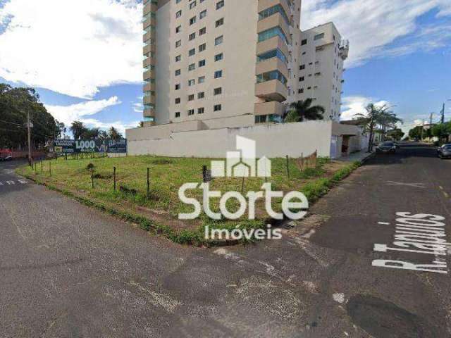 Área à venda, 1.610m² por R$ 2.173.500 - Vigilato Pereira - Uberlândia/MG