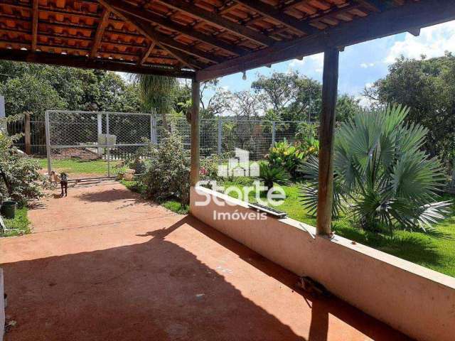 Chácara com 3 dormitórios à venda, 1000 m² por R$ 290.000,00 - Chácara Douradinho - Uberlândia/MG