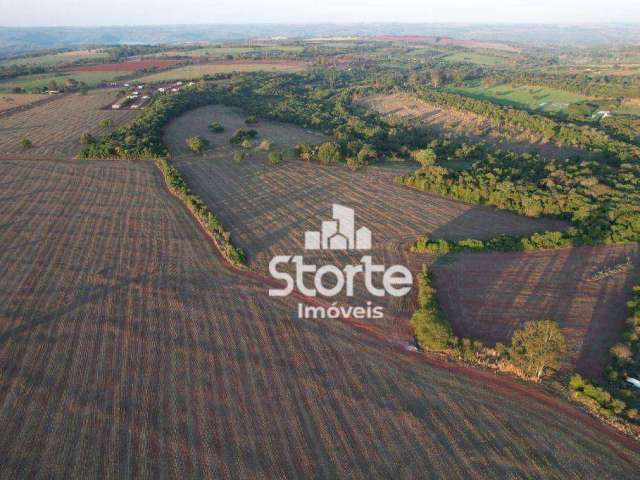 Fazenda à venda com 280 hectares (2.800.000m²) por R$ 280.000.000 - Zona Rural de Uberlândia a 10min do Parque do Sabiá - MG