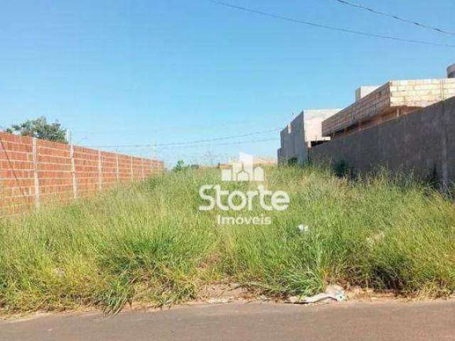 Terreno à venda, 250m² por R$ 140.000 (com opção do ágio) - Luizote IV - Uberlândia/MG