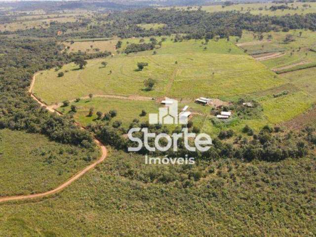 Fazenda com 8 alqueires (38,72 hectares) à venda por R$ 1.500.000 - Área Rural Sentido Campo Florido - Uberlândia/MG