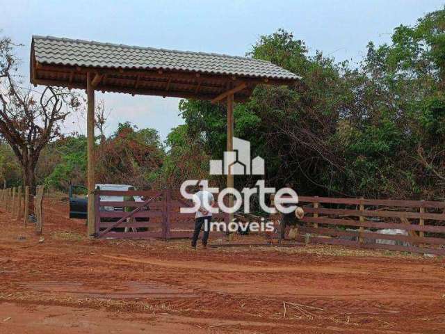 Chácara à venda, 2 hectares (20.000m²) por R$ 250.000 - Uberlândia Sentido Araguari/Indianópolis – MG