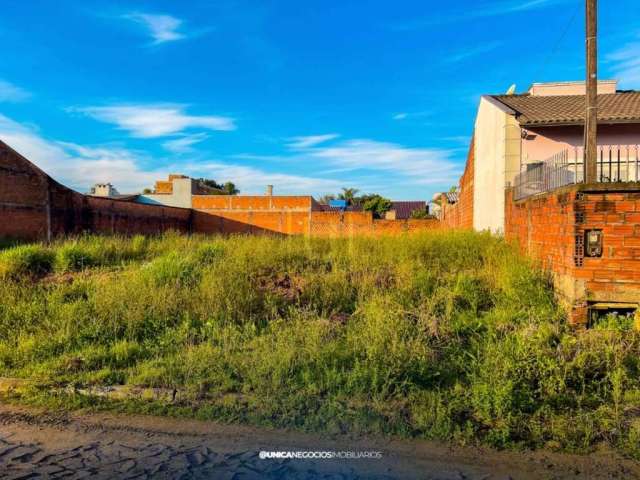 Lote/Terreno, São Jorge - Portão