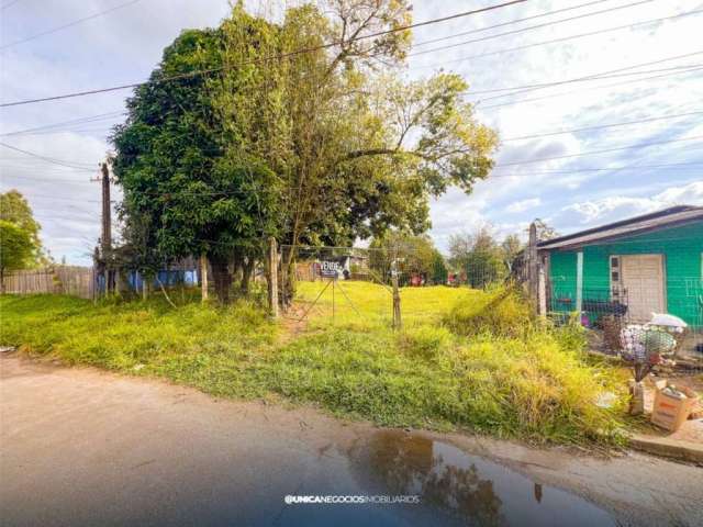 Lote/Terreno, Vila Aparecida - Portão