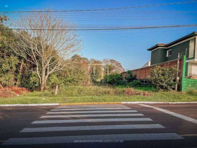 Lote/Terreno, Parque Netto - Portão