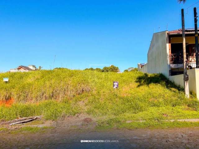 Lote/Terreno, Jardim Riva - Portão