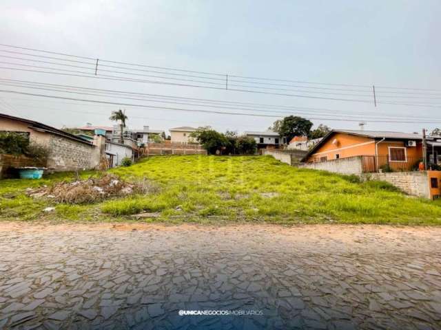 Lote/Terreno, Centro - Portão