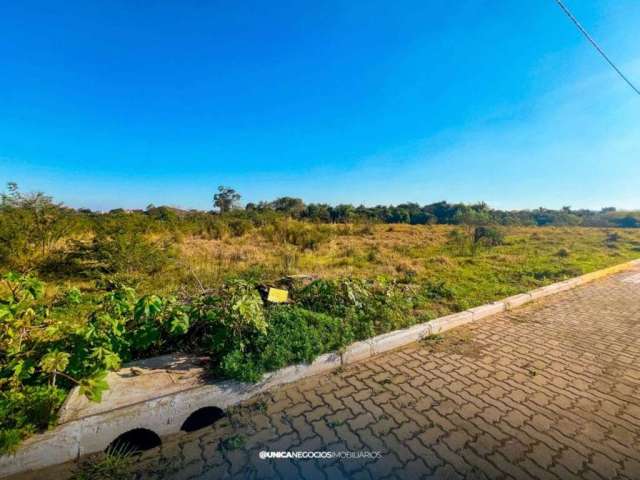 Lote/Terreno, Portão Velho - Portão