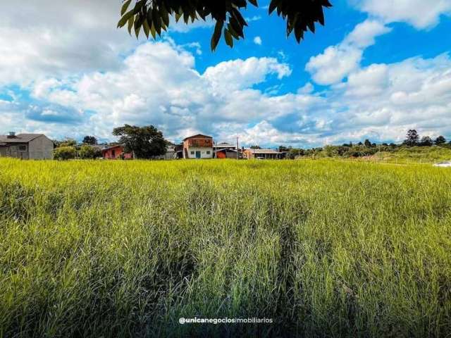 Lote/Terreno, São Jorge - Portão