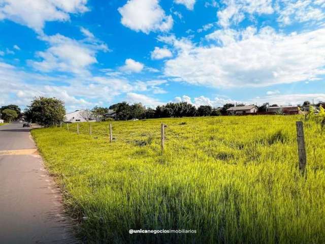 Lote/Terreno, São Jorge - Portão