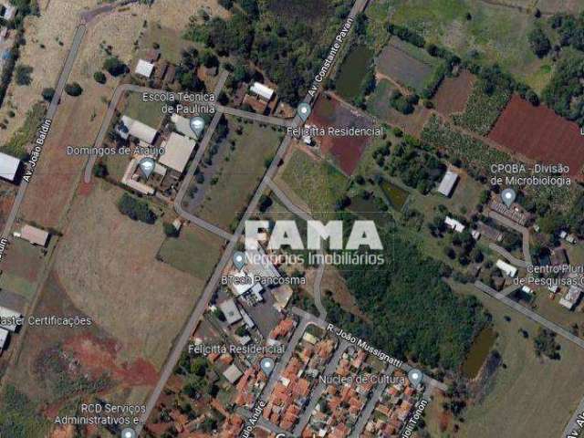 Terreno à venda, 3500 m² por R$ 1.900.000,00 - Betel - Paulínia/SP