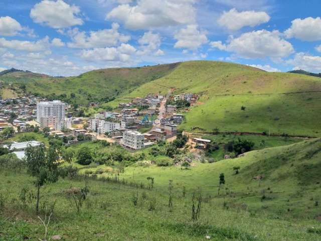 Terreno à venda na Estrada fazenda dos villaça, Fontesville, Juiz de Fora, 69775 m2 por R$ 2.800.000