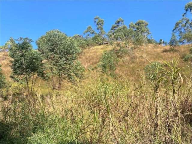 Terreno à venda em Caete (mailasqui) - SP