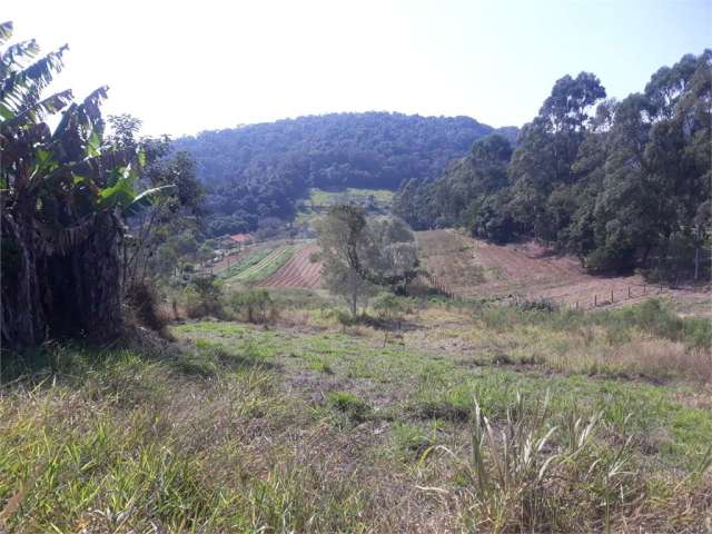 Terreno à venda em Centro (canguera) - SP