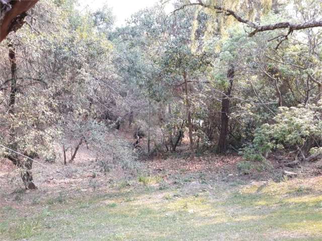 Terreno à venda em Vila Santo Antônio - SP