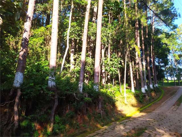 Terreno à venda em Centro (mailasqui) - SP