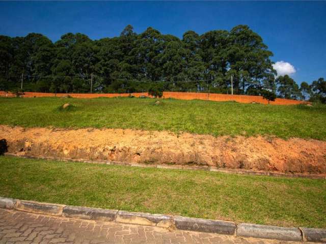 Terreno à venda em Vila Darcy Penteado (mailasqui) - SP