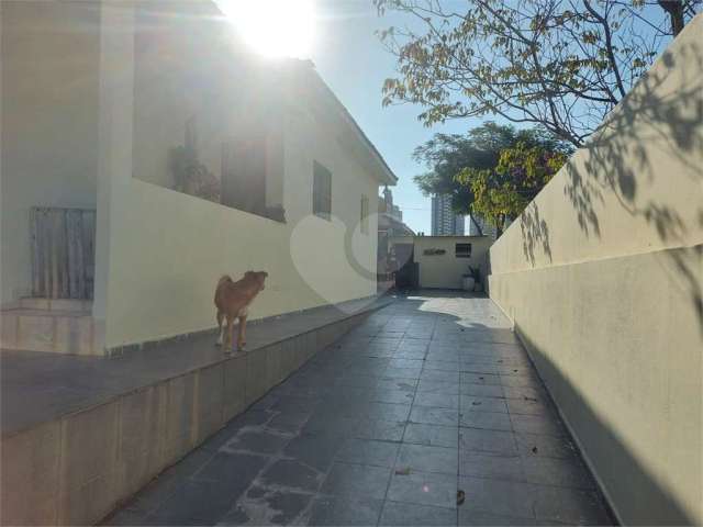 Terreno com 2 casas contendo 2 dormitórios cada uma