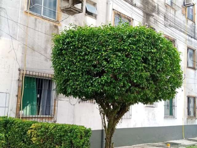 Excelente Apartamento no Residencial Augusto Montenegro III, Bairro Mangueirão.