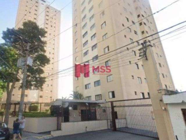 Apartamento Padrão - Oportunidade