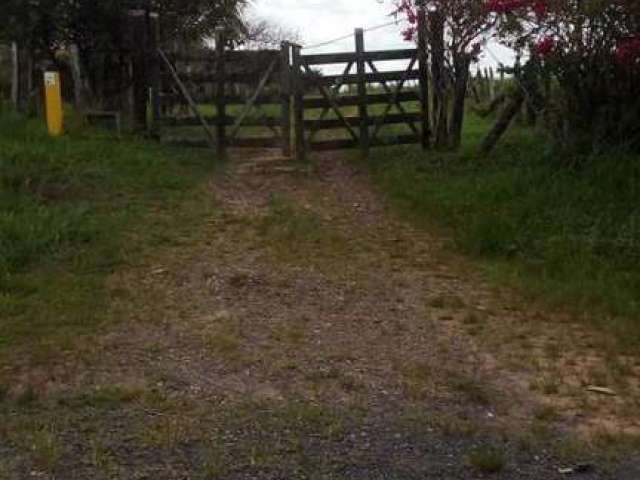 Sítio para Locação em Candeias, Área Rural de Candeias