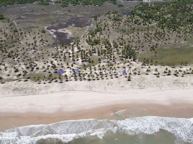 Terreno à venda no bairro Mangue Seco - Jandaíra/BA