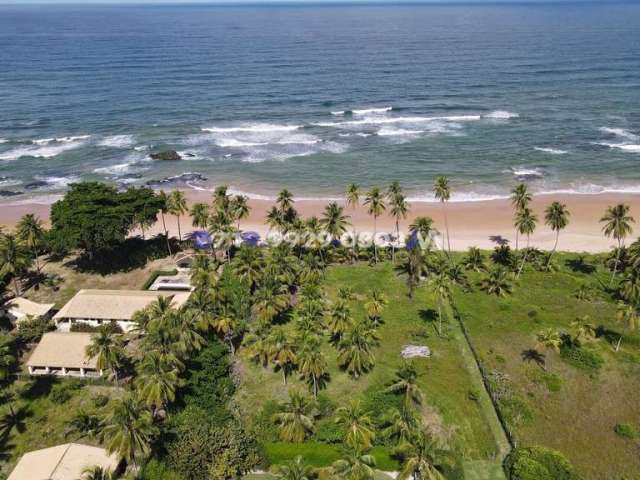 Terreno com vegetação em busca vida - vista mar