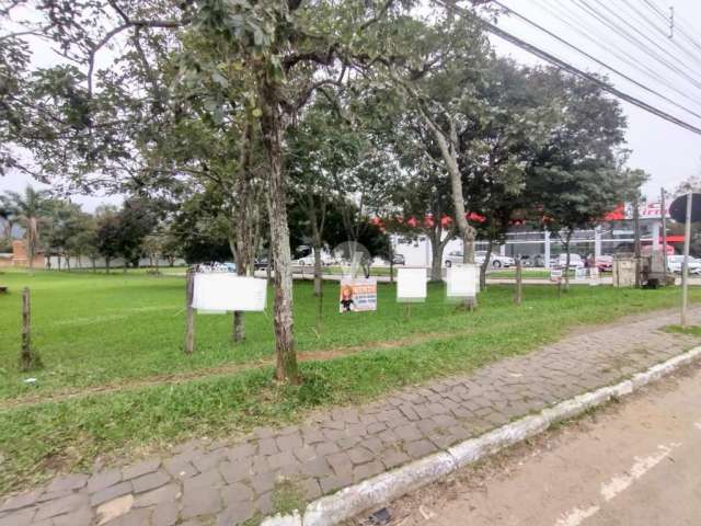 Terreno comercial à venda na Avenida Prefeito Evandro Behr, 6020, Camobi, Santa Maria por R$ 6.400.000