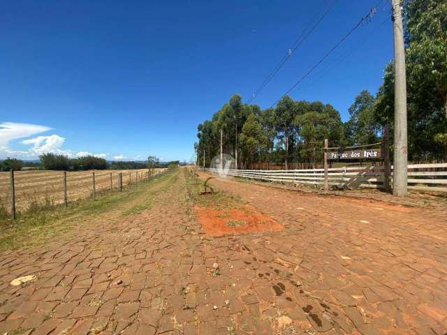 Terreno com 800 m² localizado nos Pains.