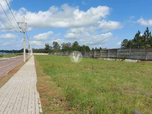 Terreno no Cidade Universitária