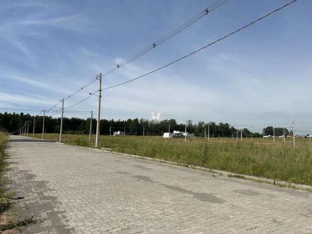 Loteamento Bela Vista, venha construir sua casa no bairro que mais desenvolve em