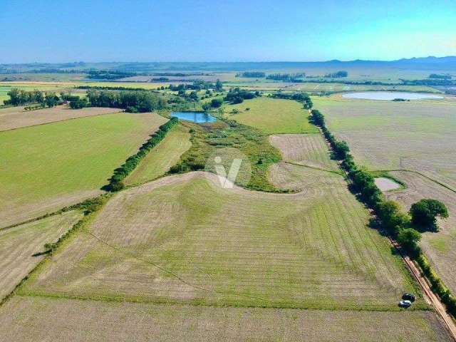 Uma área de terras com 7 hectares cercada e Limpac om boa porcentagem de aprovei