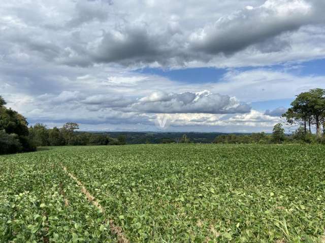 Área para soja com 96% de aproveitamento em itaara - 7,8 ha