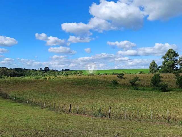 40 hectares em itaara com excelente acesso