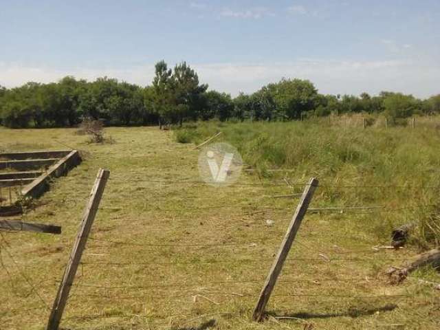 Terreno à venda Diácono João Luiz Pozzobon Santa Maria/RS