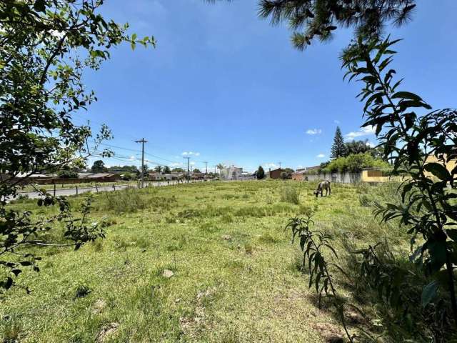 Terreno de esquina no parque pinheiro machado - pronto para construir